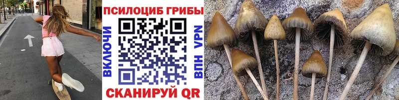 Псилоцибиновые грибы мухоморы  Купить закладки  Ржев 
