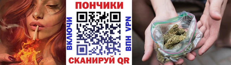 Бошки Шишки гибрид  Купить  Ржев 